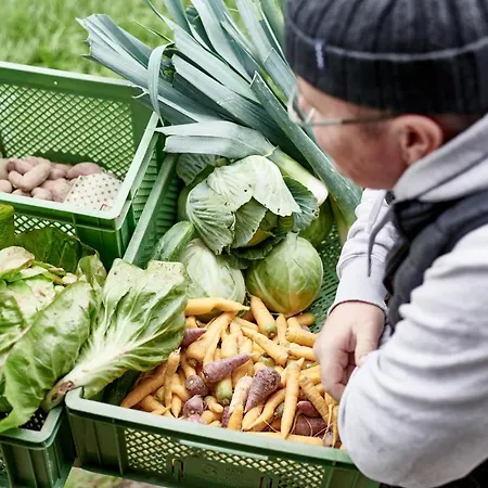 فندق Hohenhaus Herleshausen