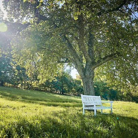 Hohenhaus 호텔 헤어레스하우젠