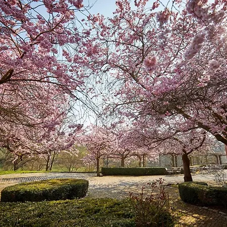 Hohenhaus فندق 5*