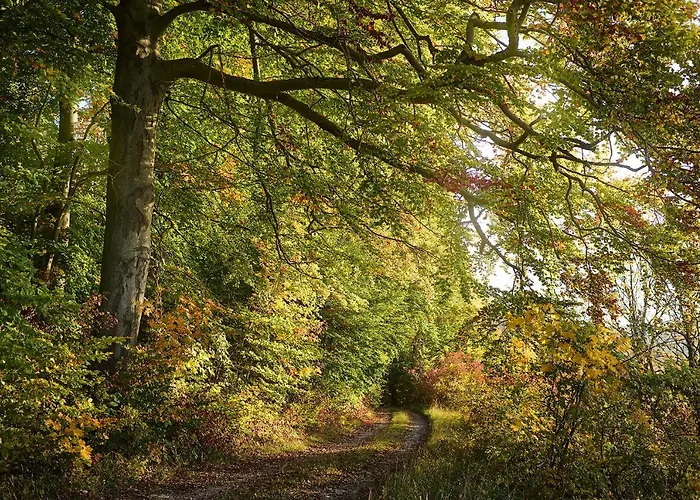 Hotel Relais&chateaux Hohenhaus