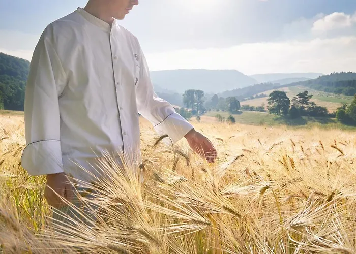 Hotel Hohenhaus Herleshausen