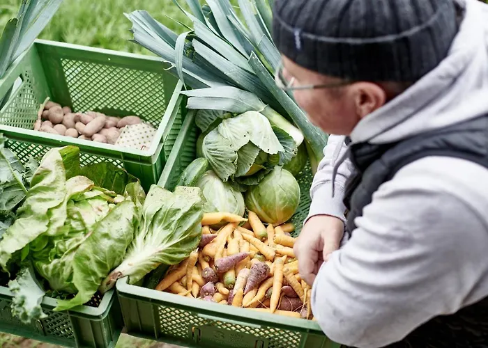 Hotel Relais&chateaux Hohenhaus Herleshausen