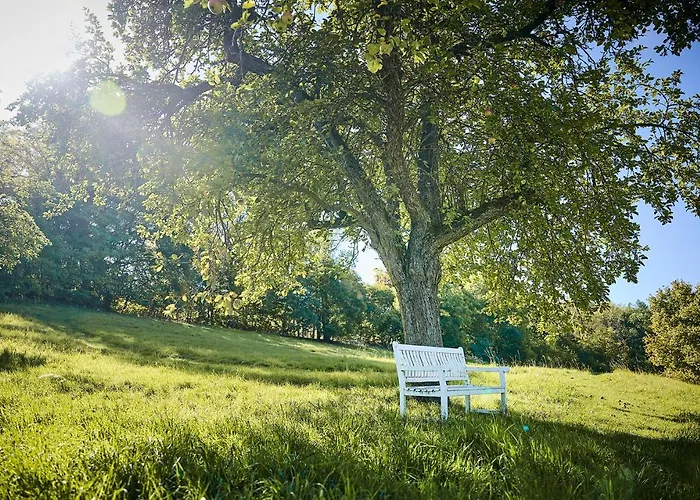 Hohenhaus Hotel Herleshausen