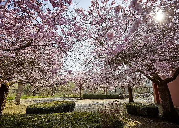 Relais&chateaux Hohenhaus 5*