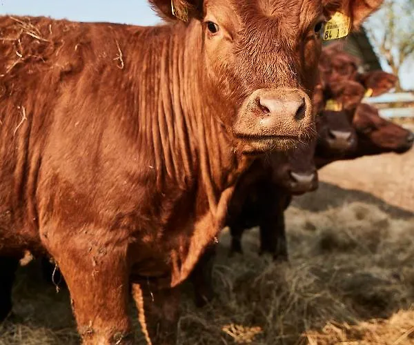 Relais&chateaux Hohenhaus