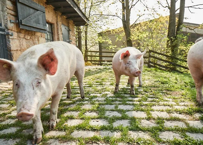 Relais&chateaux Hohenhaus 5*